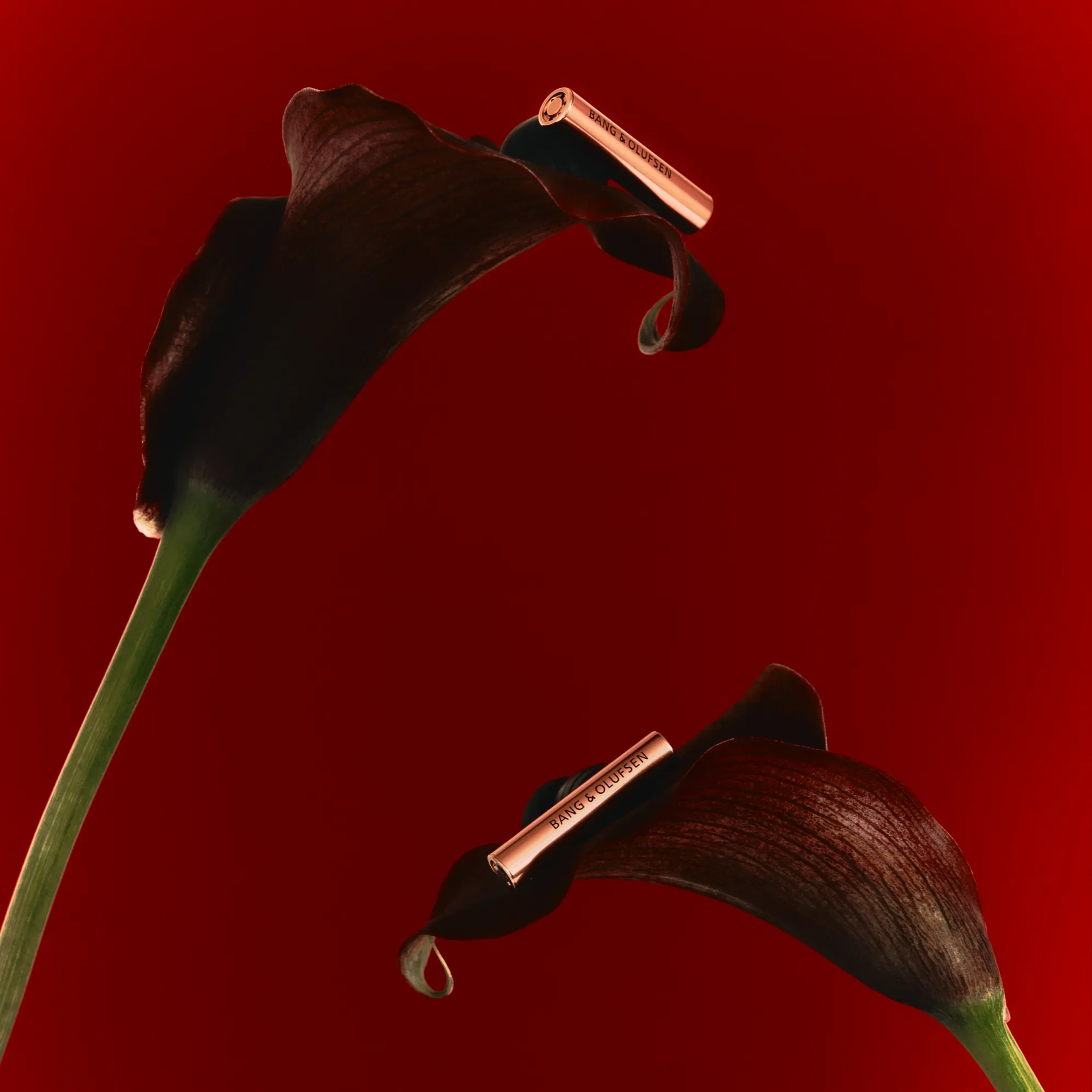 A pair of Beo Grace on flowers