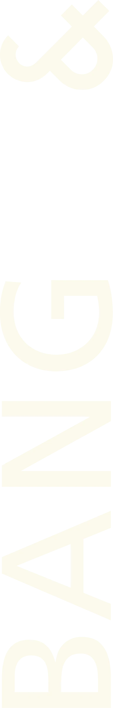 footer-left-text